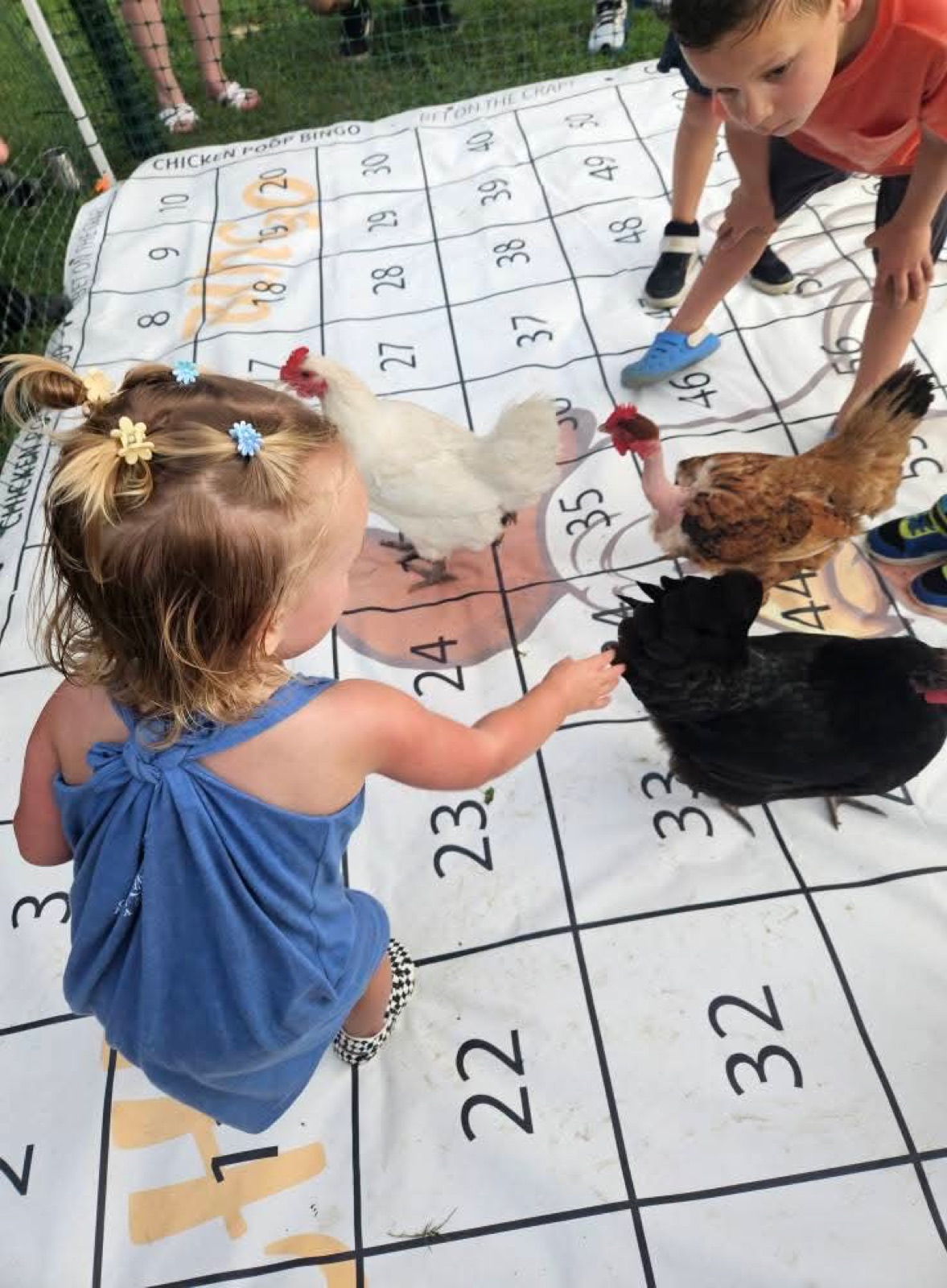 Kids watching the giant live chicken bingo board